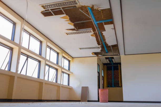 Best Water damage restoration near me  in Mukwonago, WI