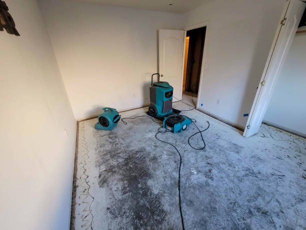 Best 24/7 water damage repair  in Mukwonago, WI