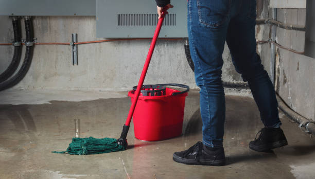 Best Commercial water damage restoration  in Mukwonago, WI