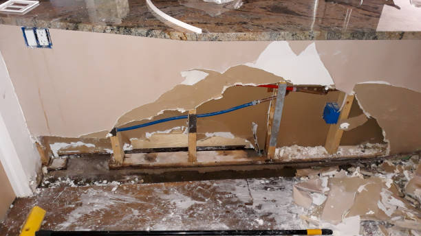 Best Professional water damage repair  in Mukwonago, WI