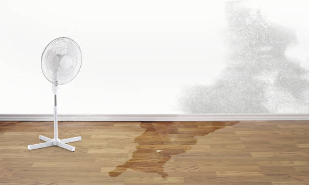 Best Professional water damage repair  in Mukwonago, WI