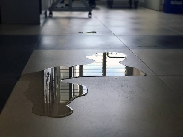 Best Emergency water damage restoration  in Mukwonago, WI