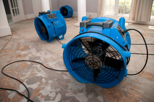  Mukwonago, WI Water damage restoration Pros