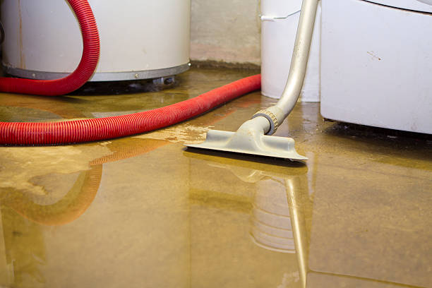 Best 24-hour water damage restoration  in Mukwonago, WI
