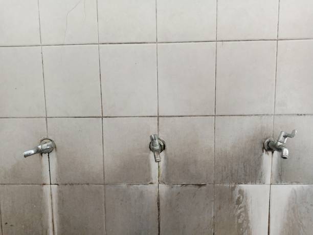 Best Flood damage cleanup  in Mukwonago, WI