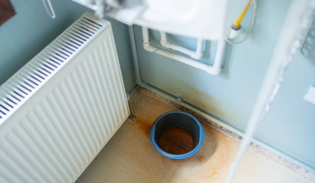 Best Ceiling water damage repair  in Mukwonago, WI