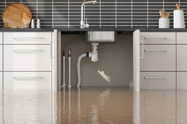 Best Local water damage restoration  in Mukwonago, WI