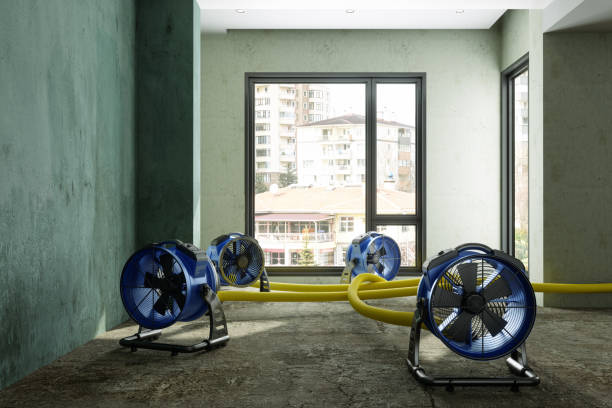 Best Sewage cleanup and water damage restoration  in Mukwonago, WI